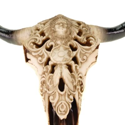 Crâne de Bison Sculpté - Renaissance Baroque