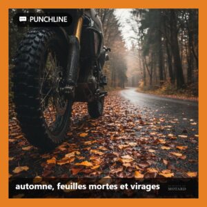 automne, feuilles mortes et virages - Le Monde du Motard